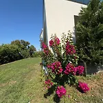Anima Apartament